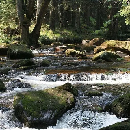 Bergwaldchalet Wellness 7 Ferienhaus *