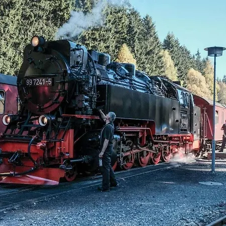 Bergwaldchalet Wellness 7 Ferienhaus