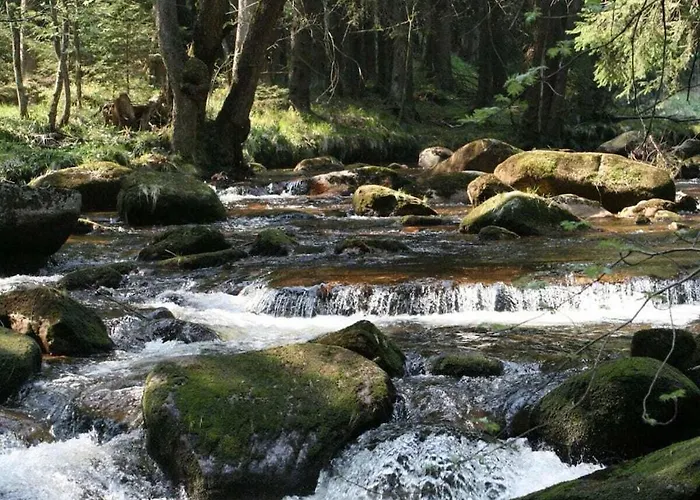 Bergwaldchalet Wellness 7 Semesterbostad *